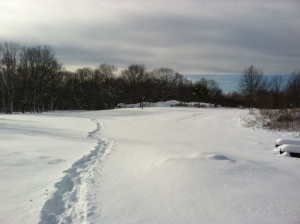 Silver Lake Winter Wonderland